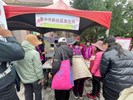 114年櫻花季-3
